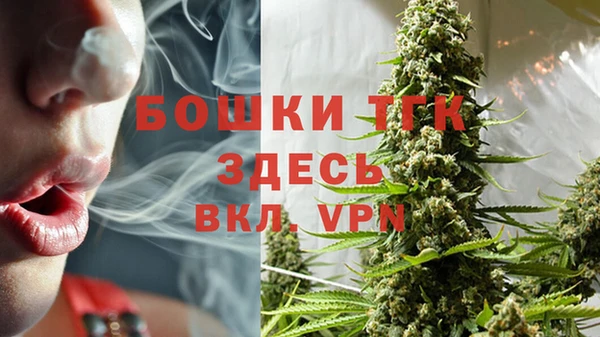 ECSTASY Няндома
