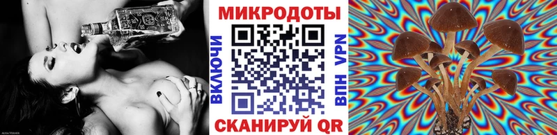 купить наркотик  Шарья  MEGA вход  Галлюциногенные грибы прущие грибы 